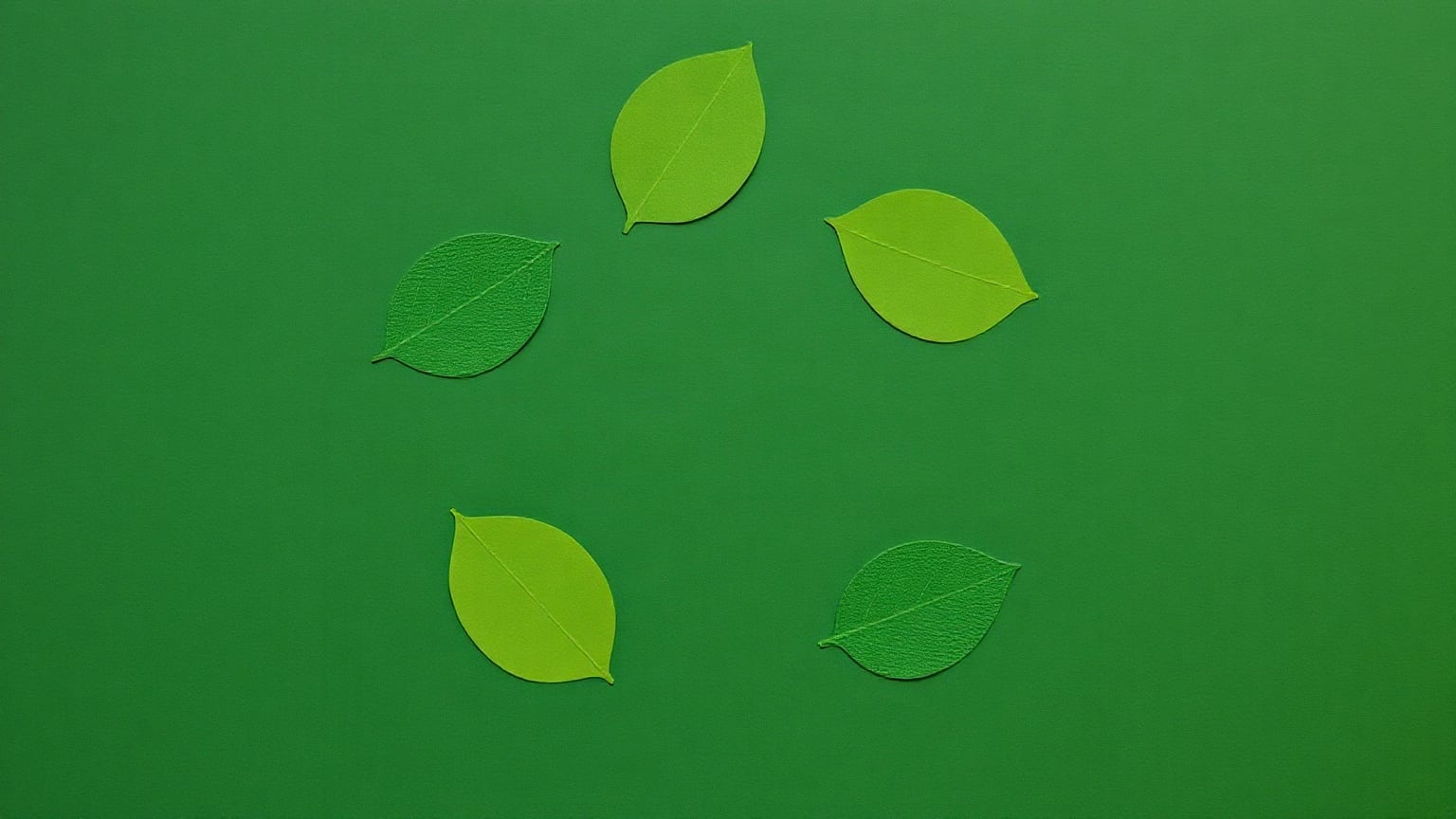Six sage paper leaves arranged in a ring on a deep forest green ground, with a warm cream circle at the centre