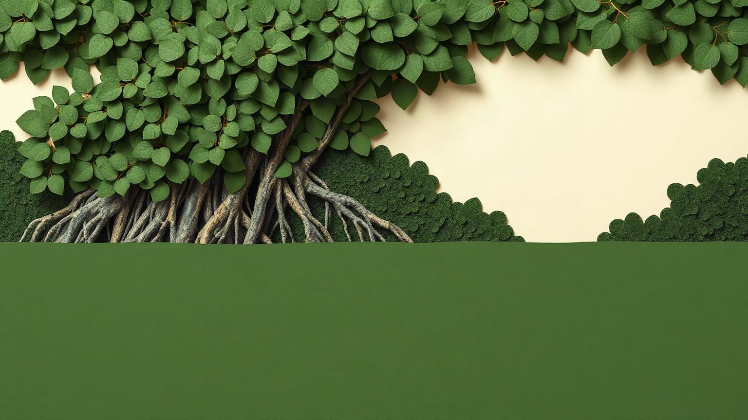 Paper mangrove roots and canopy filling the left half of the frame, open water on the right